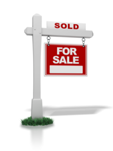 Real estate SEO PPC case study